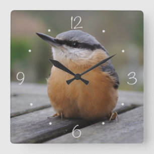 Nuthatch photo square wall clock