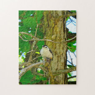 Nuthatch Wildlife Michigan. Jigsaw Puzzle