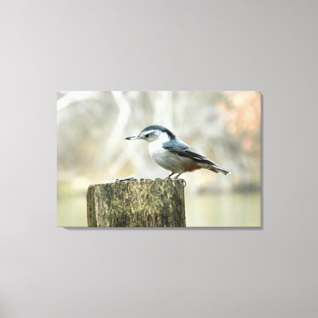 Nuthatch with Sunflower Seed Nature Print (Front)