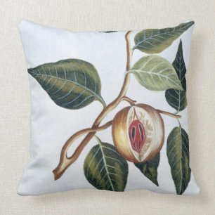 Nutmeg, plate 7, from 'Collection Precieuse et Enl Throw Pillow