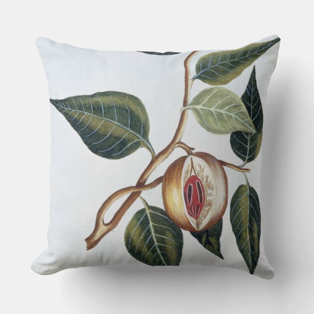 Nutmeg, plate 7, from 'Collection Precieuse et Enl Throw Pillow (Front)