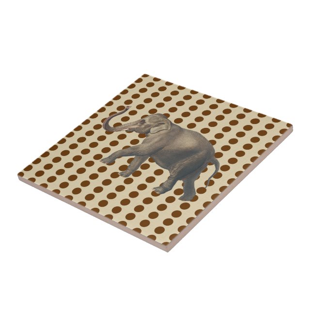 Nutmeg Spice Moods Dots with Elephant Tile (Side)