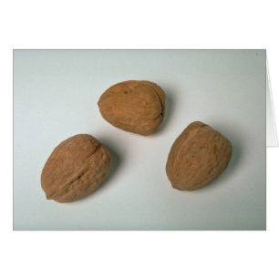 Nutritionous walnuts