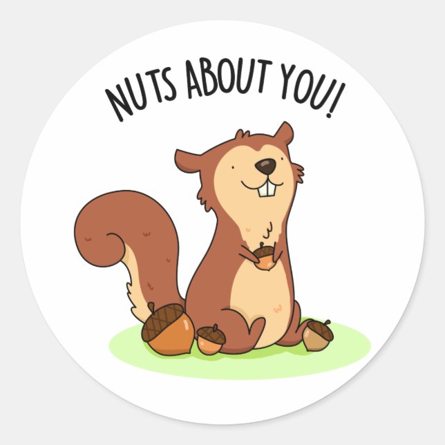 Nuts About You Funny Squirrel Pun  Classic Round Sticker (Front)