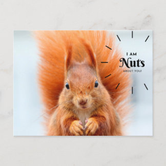 Nuts About You Postcard
