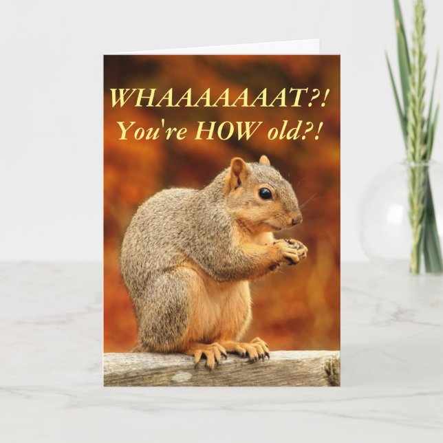 Nuts! Funny Birthday Card (Front)