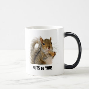 NUTS to YOU! Mug