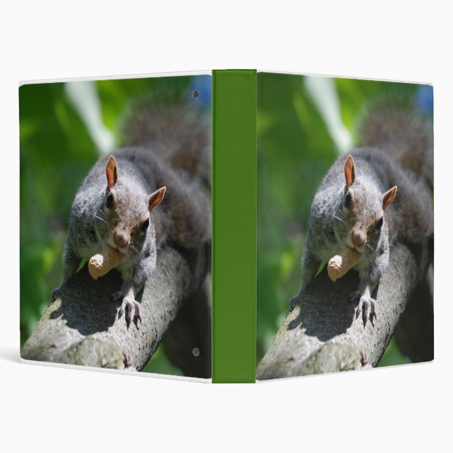 Nutty Squirrel Binder (Background)