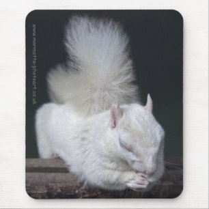 Nutty's Prayer Mousemat Mouse Pad