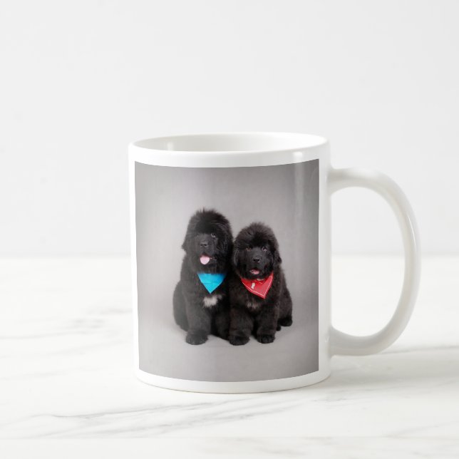 Nuwfie brothers coffee mug (Right)