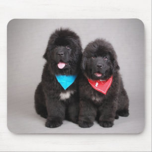 Nuwfie brothers mouse pad