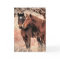 Nuzzling Horses