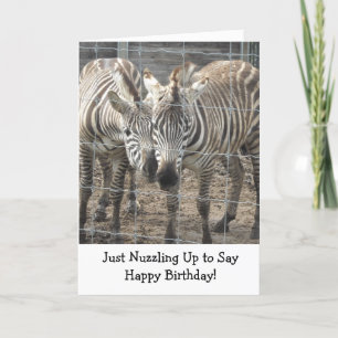 Nuzzling Zebras Card