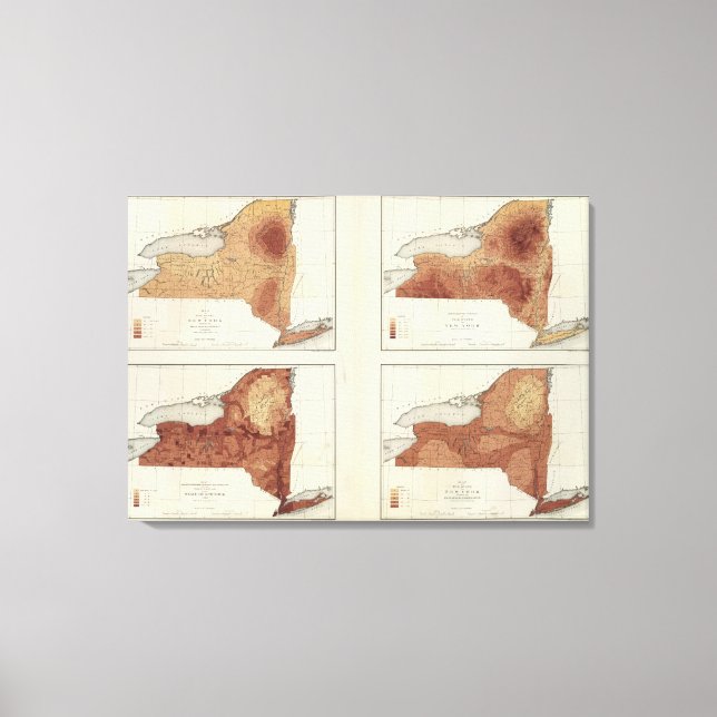 NY rainfall, population, elevation, temperature Canvas Print (Front)