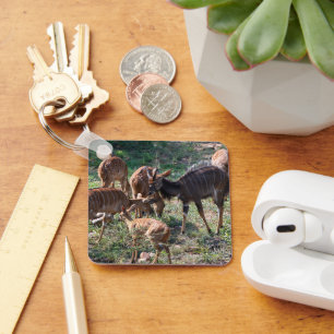 Nyala, Striking Striped Antelope Keychain