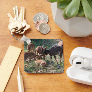 Nyala, Striking Striped Antelope Keychain