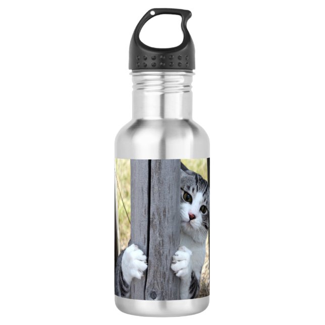 Nyankichi, A Stray Cat 532 Ml Water Bottle (Front)