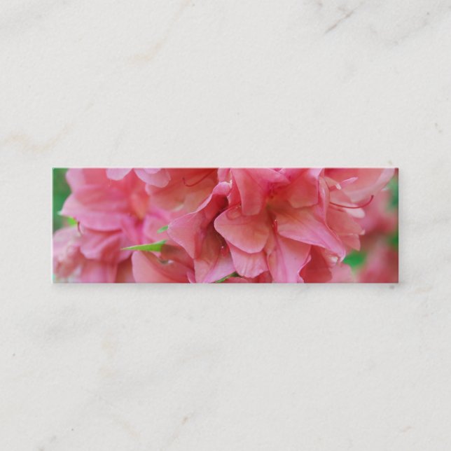 NYBG: No. 116 Mini Business Card (Front)