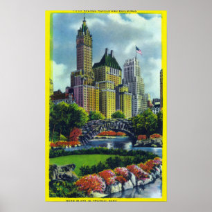 NYC Central Park View of 5th Ave Hotels Poster