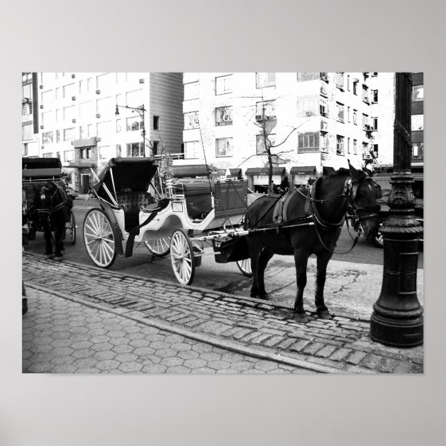 NYC Horse and Carriage Black White Photo Poster (Front)