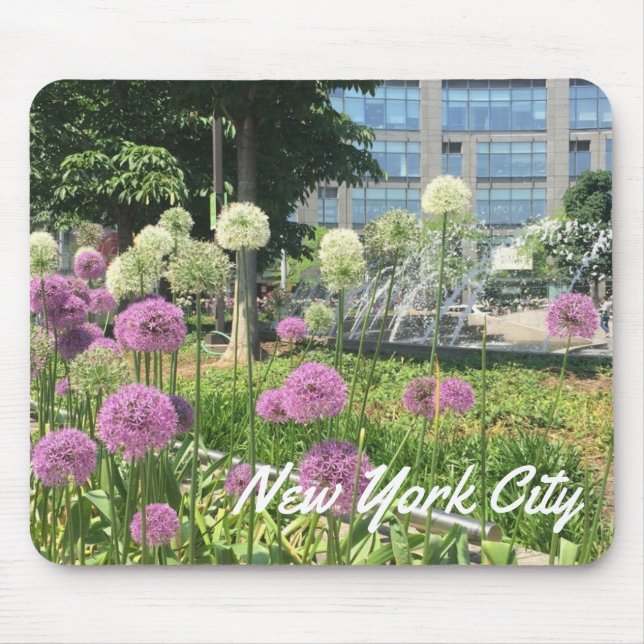 NYC New York City Columbus Circle Allium Fountain Mouse Pad (Front)