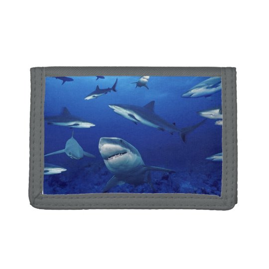 Nylon Tri-Fold Sharks Wallet