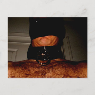 NYLONS AND COLLAR 2 POSTCARD