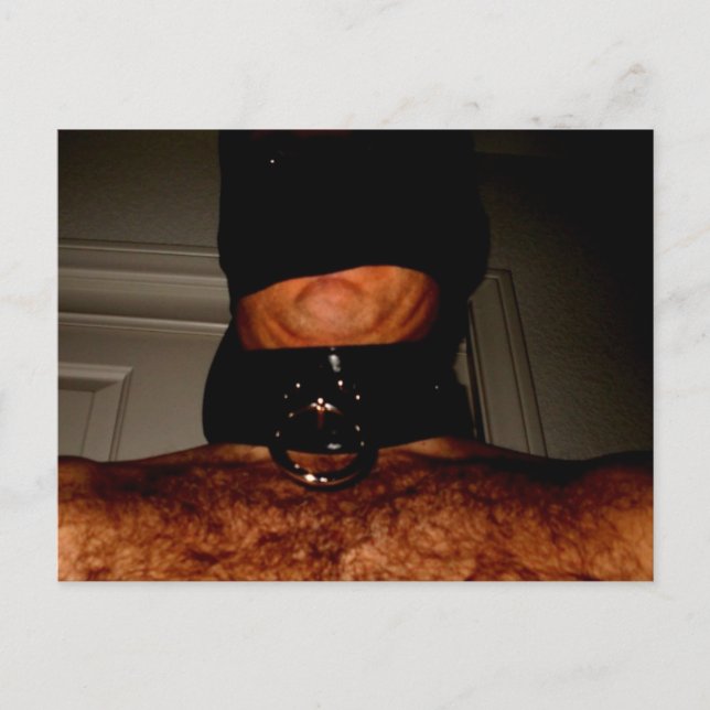 NYLONS AND COLLAR 2 POSTCARD (Front)