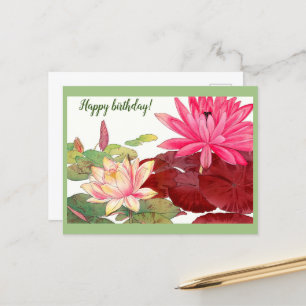 Nymphaea lotus, pink and white waterlilies postcard