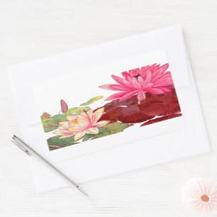 Nymphaea lotus, sticker