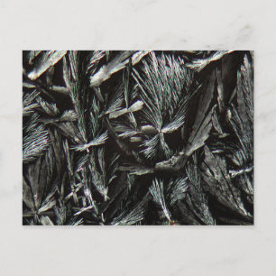 Nystatin crystals under a Microscope Postcard