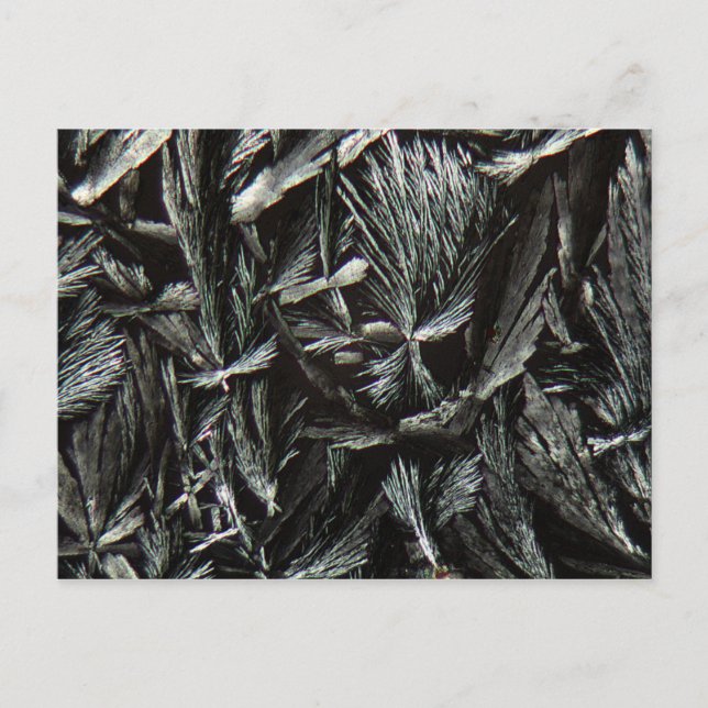 Nystatin crystals under a Microscope Postcard (Front)