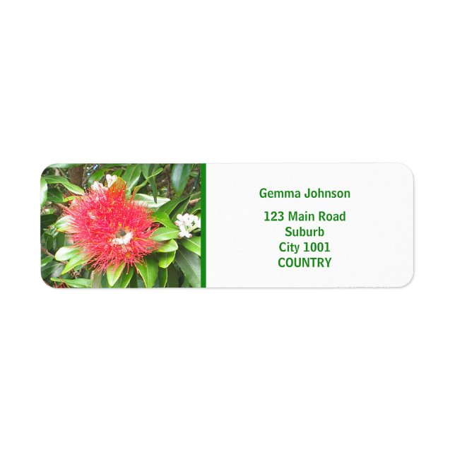 NZ RED POHUTUKAWA FLOWER NOUVELLE ZÉLANDE KIWI XMA (Devant)