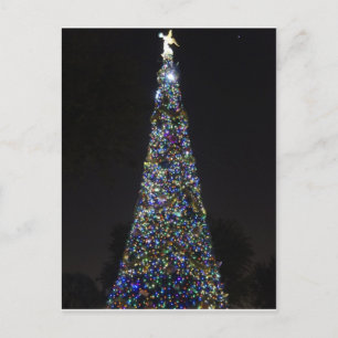 O Christmas Tree Holiday Postcard