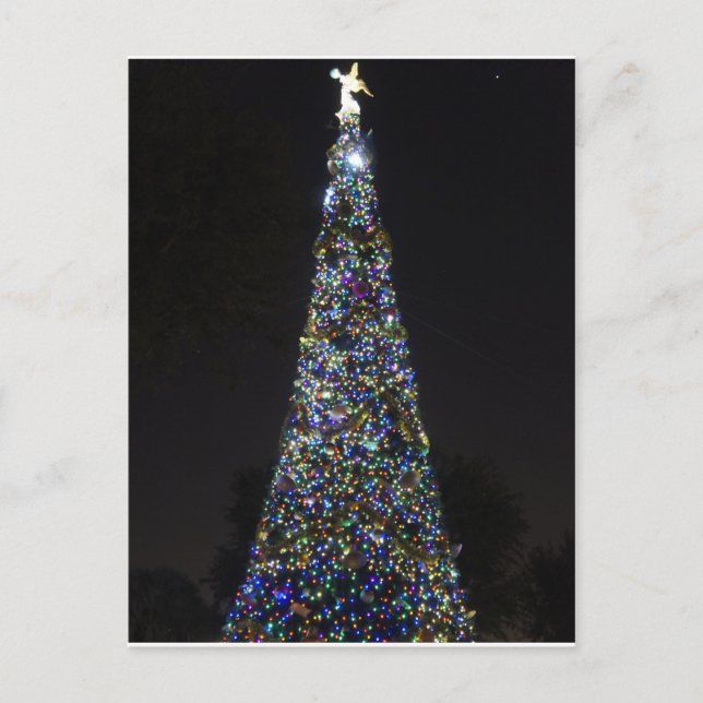 O Christmas Tree Holiday Postcard (Front)