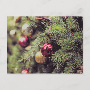O Christmas Tree Postcard