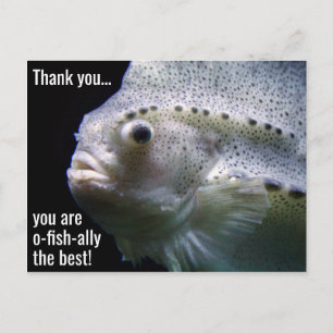 O-fish-ally la meilleure carte postale de Merci