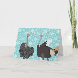 O' Holy Ostrich Christmas Greeting Holiday Card