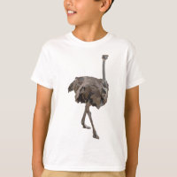 O is for Ostrich