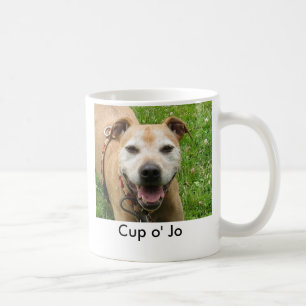 O Jo de tasse