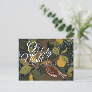 O Perdrix nocturne Dans Une Carte Postal Pear Tree