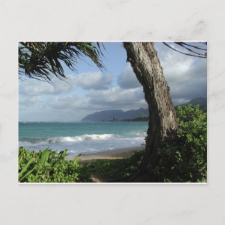 Oahu Beach Postcard