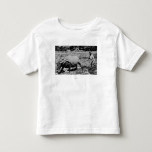Oahu, Hawaii - A Water Buffalo & Farmer Tilling Toddler T-shirt