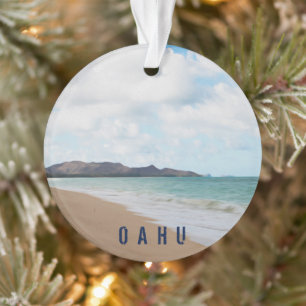 Oahu Hawaii Tropical Beach 2 Photo & Texte