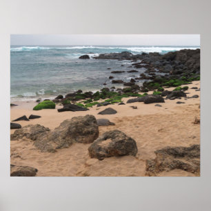 Oahu’s North Shore and Sea Turtle Poster