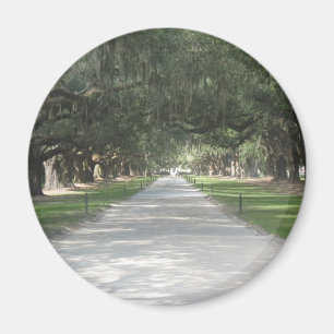 Oak Alley at Boone Hall, Charleston SC Magnet