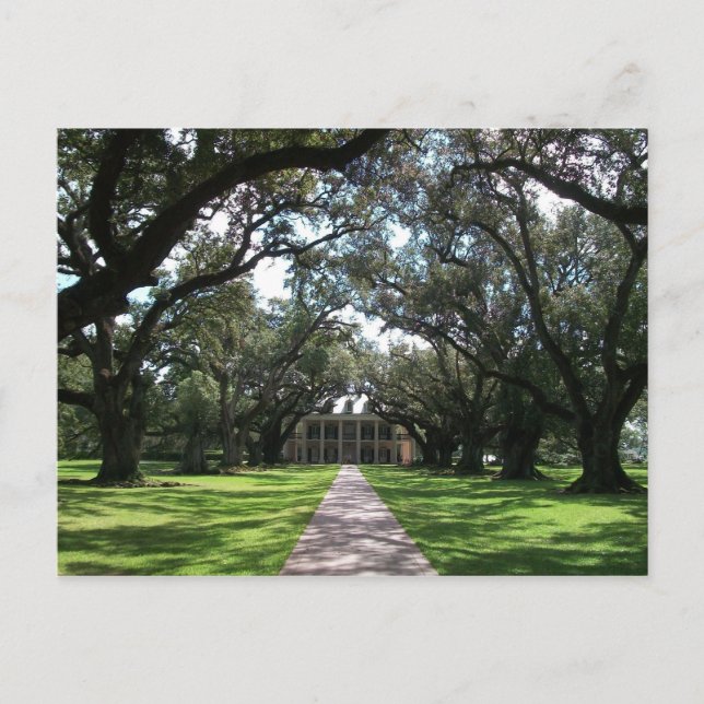 Oak Alley Plantation Postcard (Front)