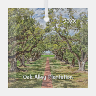 Oak Alley Plantation, Southern Live Oak Trees Glass Ornament