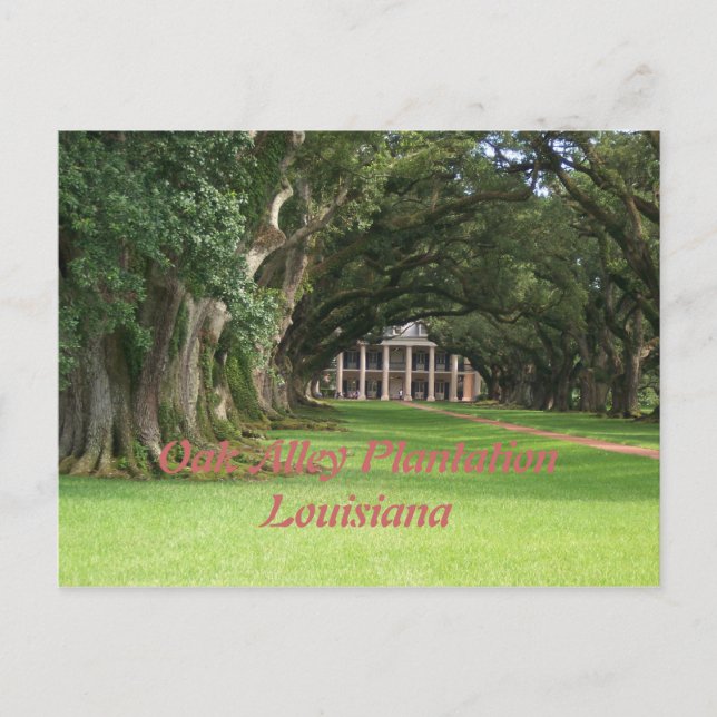 Oak Alley PlantationLouisiana Postcard (Front)