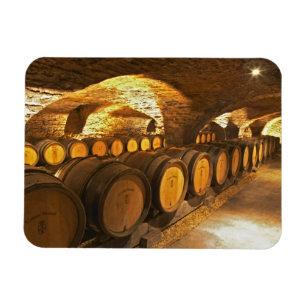 Oak barrles in the cellar at Domaine Comte Magnet